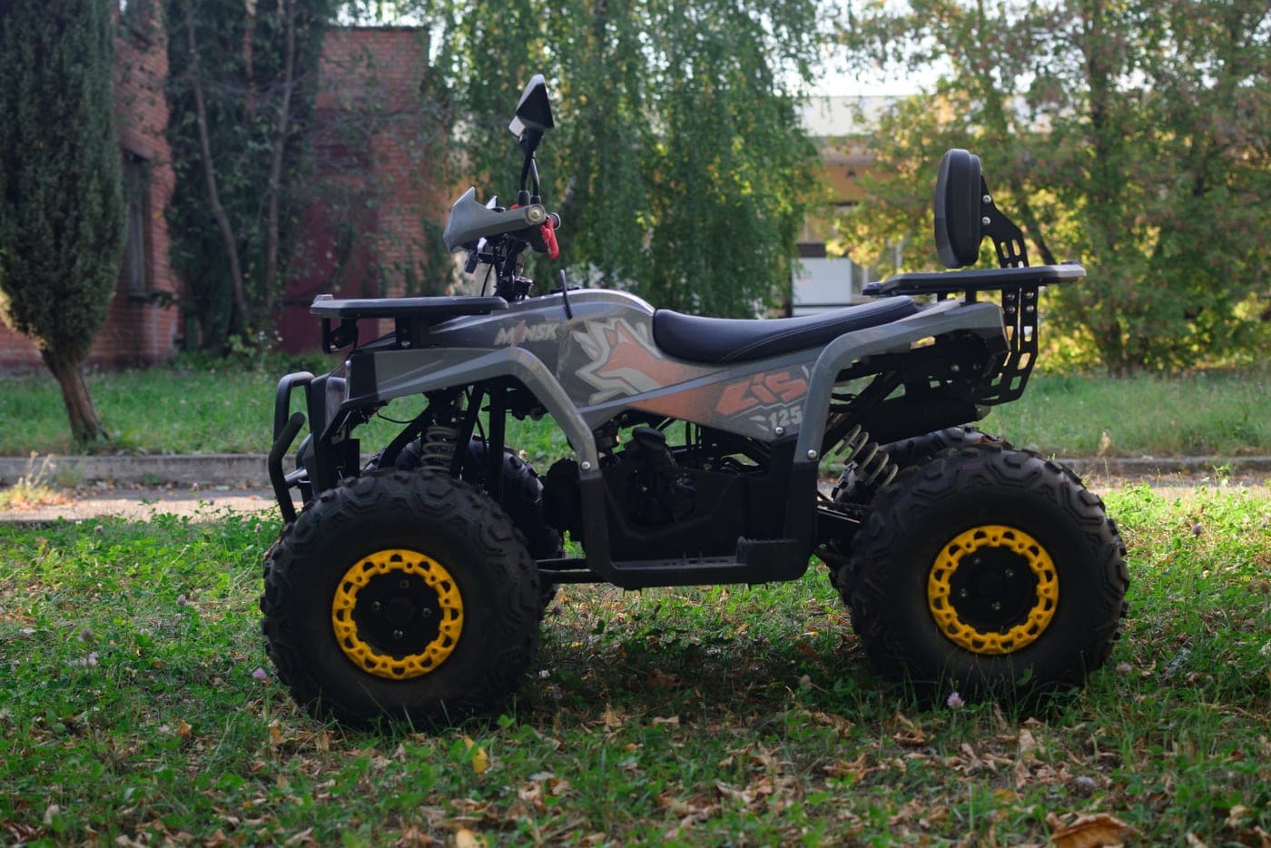 Детский квадроцикл Minsk Lis 125