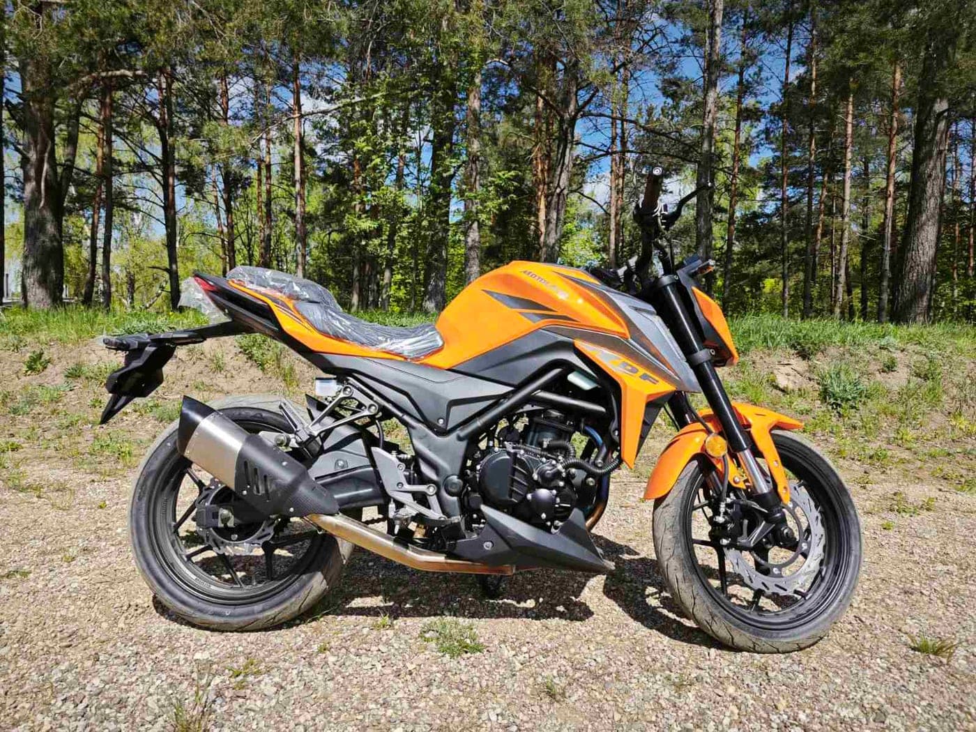 Мотоцикл Motoland DF BIG BORE 300, фото 4