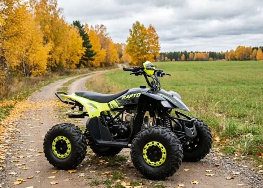 Квадроцикл Motoland VOX125 RAPTOR, фото 4