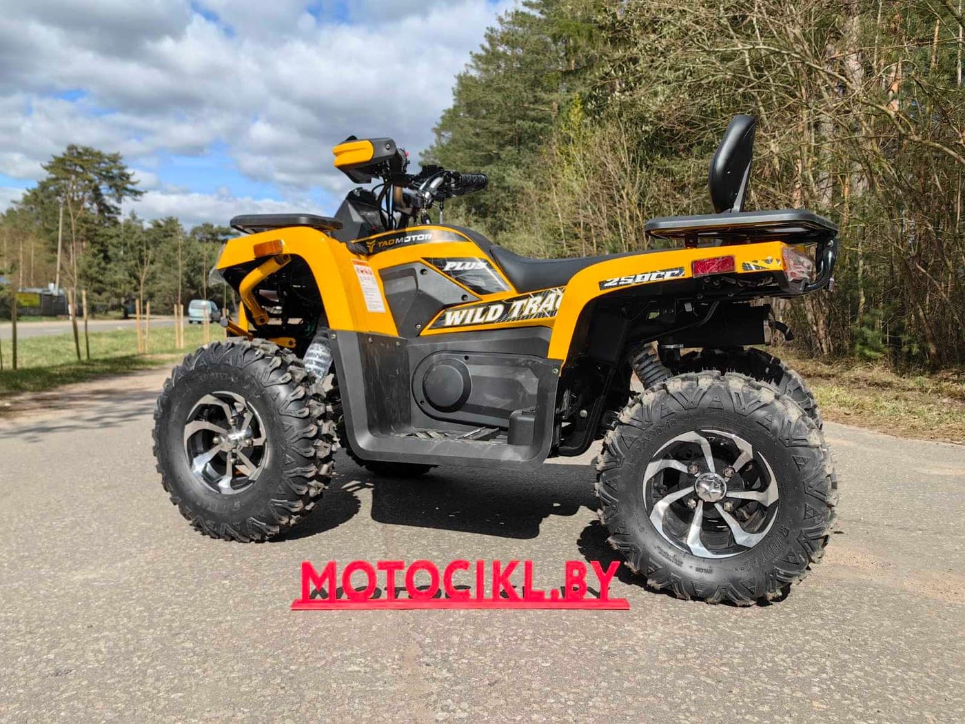 Квадроцикл Motoland VOX250 WILD TRACK X PLUS, фото 3