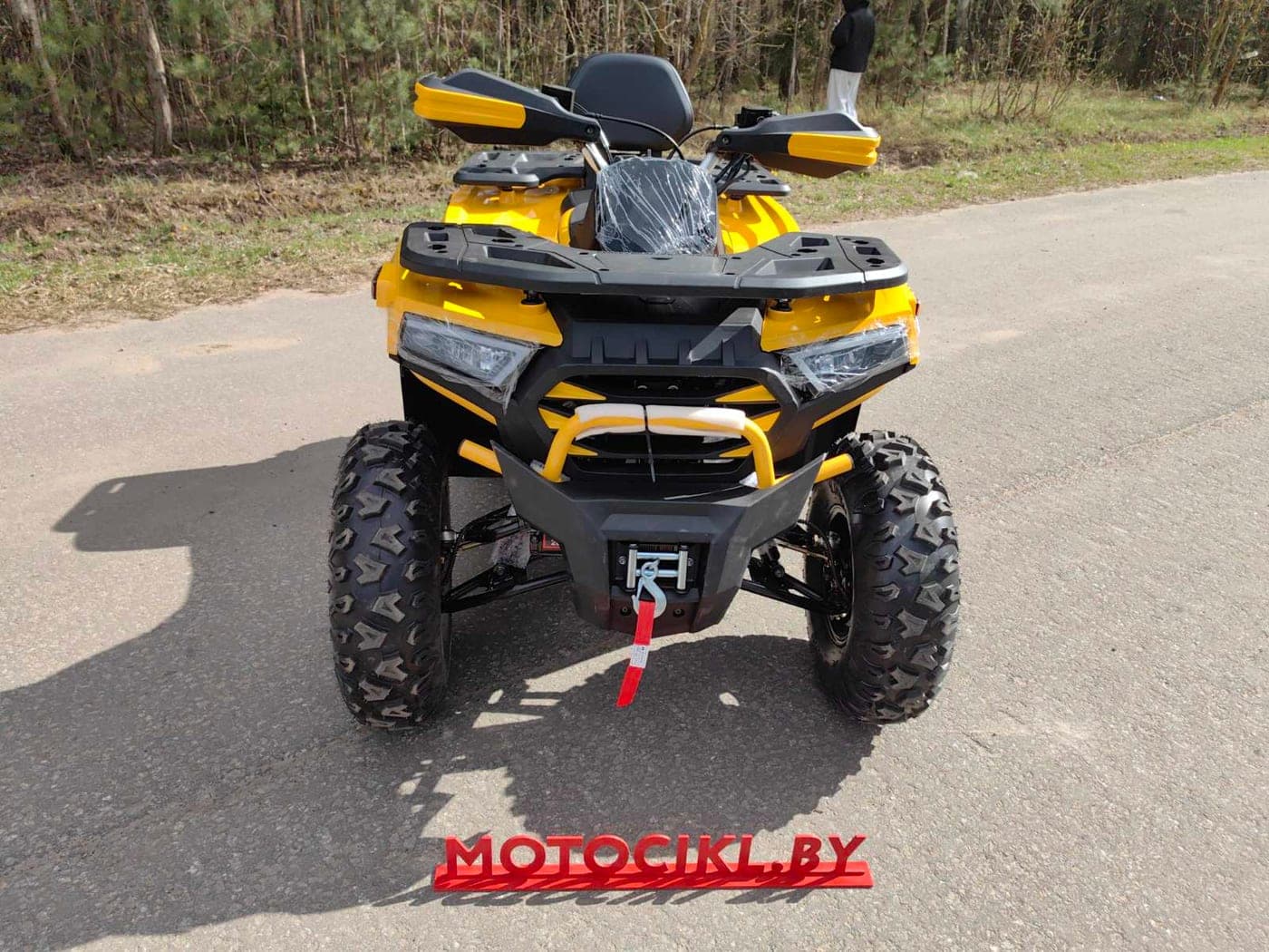 Квадроцикл Motoland VOX250 WILD TRACK X PLUS, фото 4