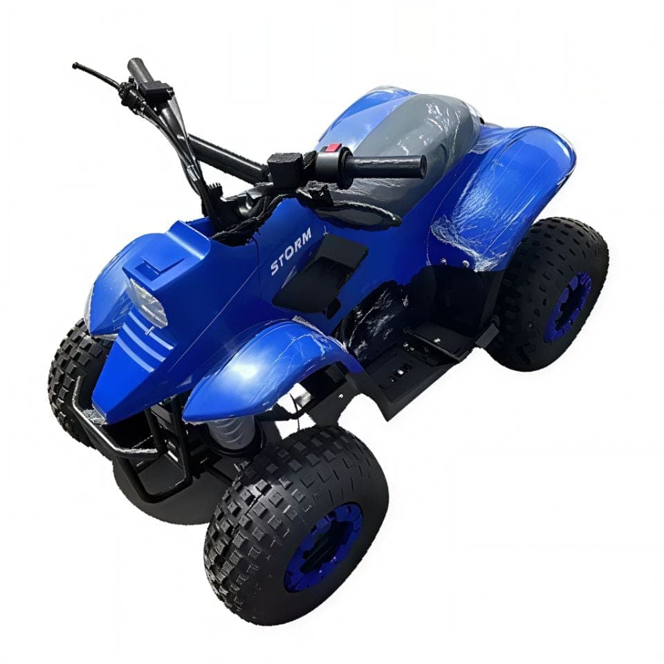 Квадроцикл детский Storm Robo 110, фото 4